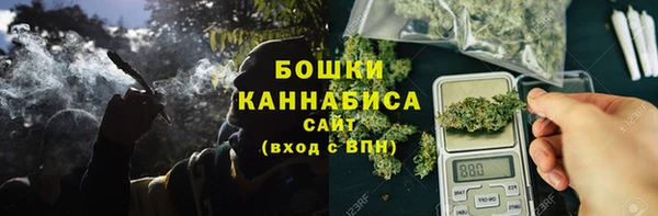 ECSTASY Белокуриха