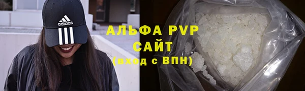 ECSTASY Белокуриха
