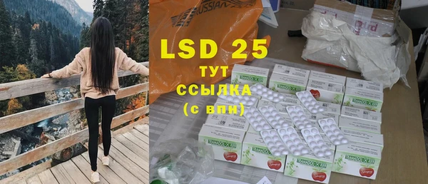 ECSTASY Белокуриха