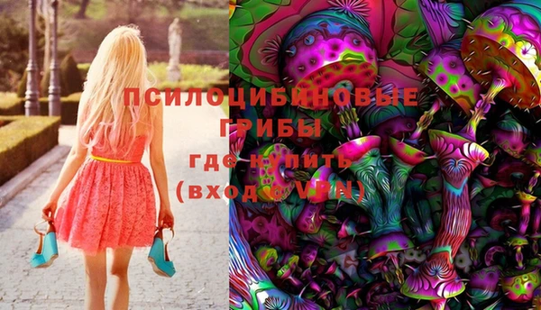 ECSTASY Белокуриха